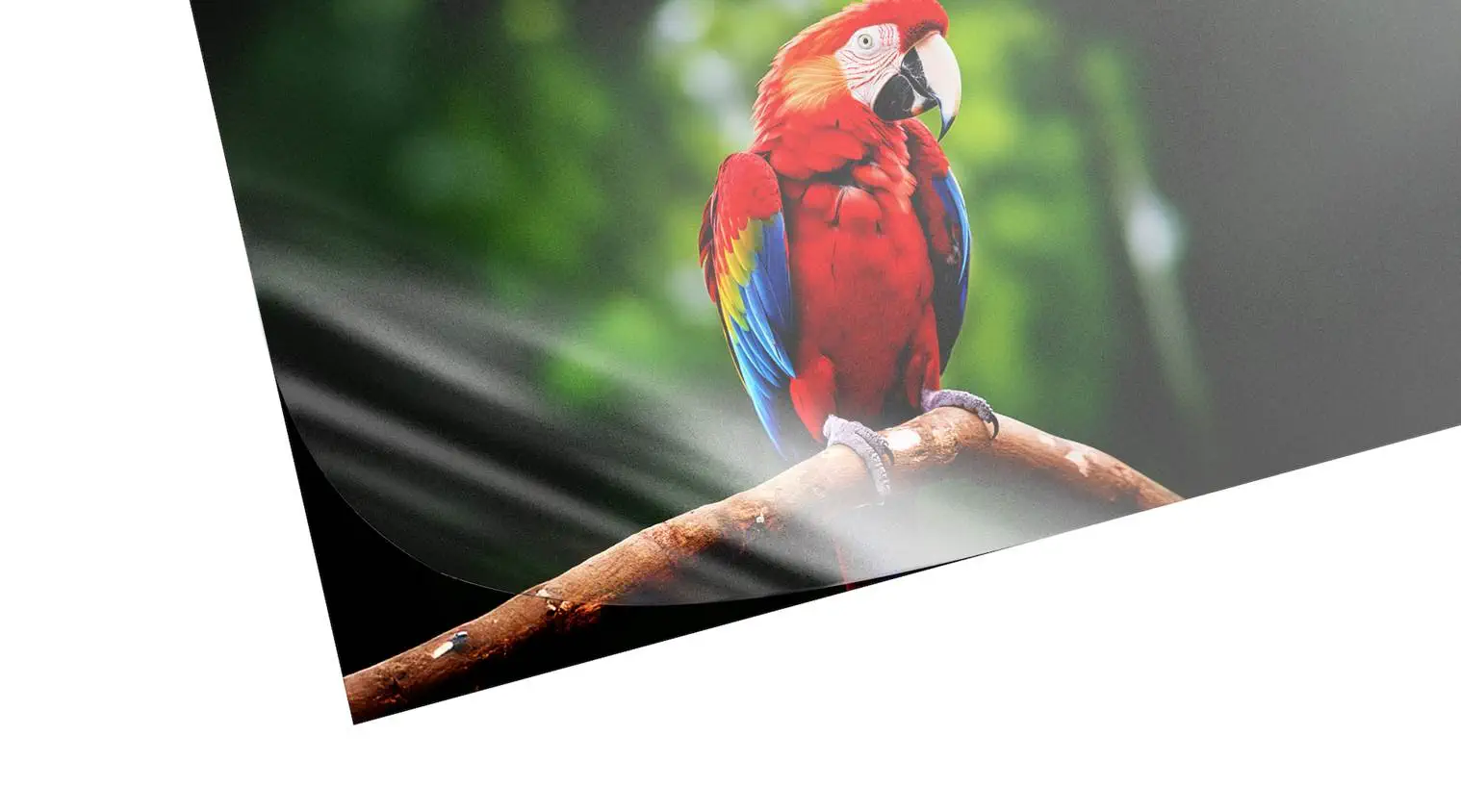 Pelliculage mat