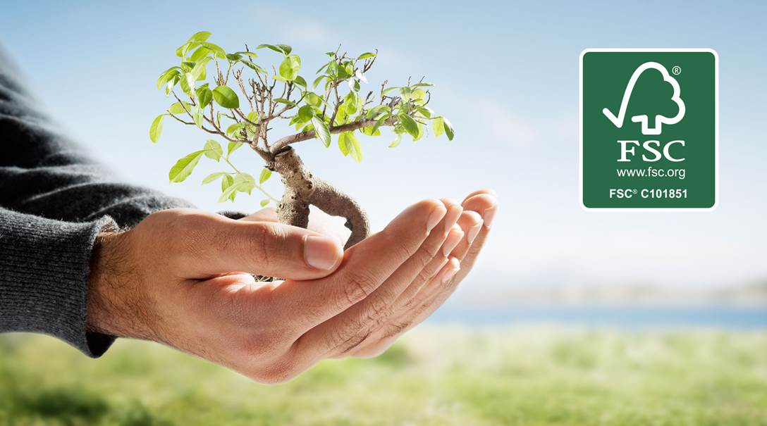 Article Certification FSC®