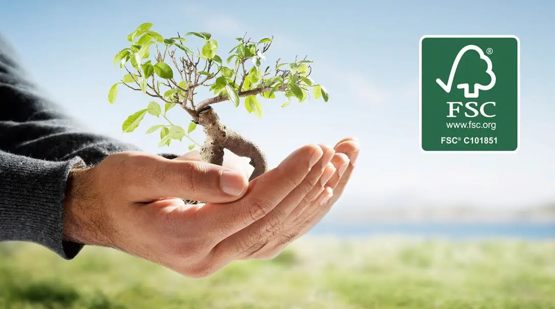 Article Certification FSC®