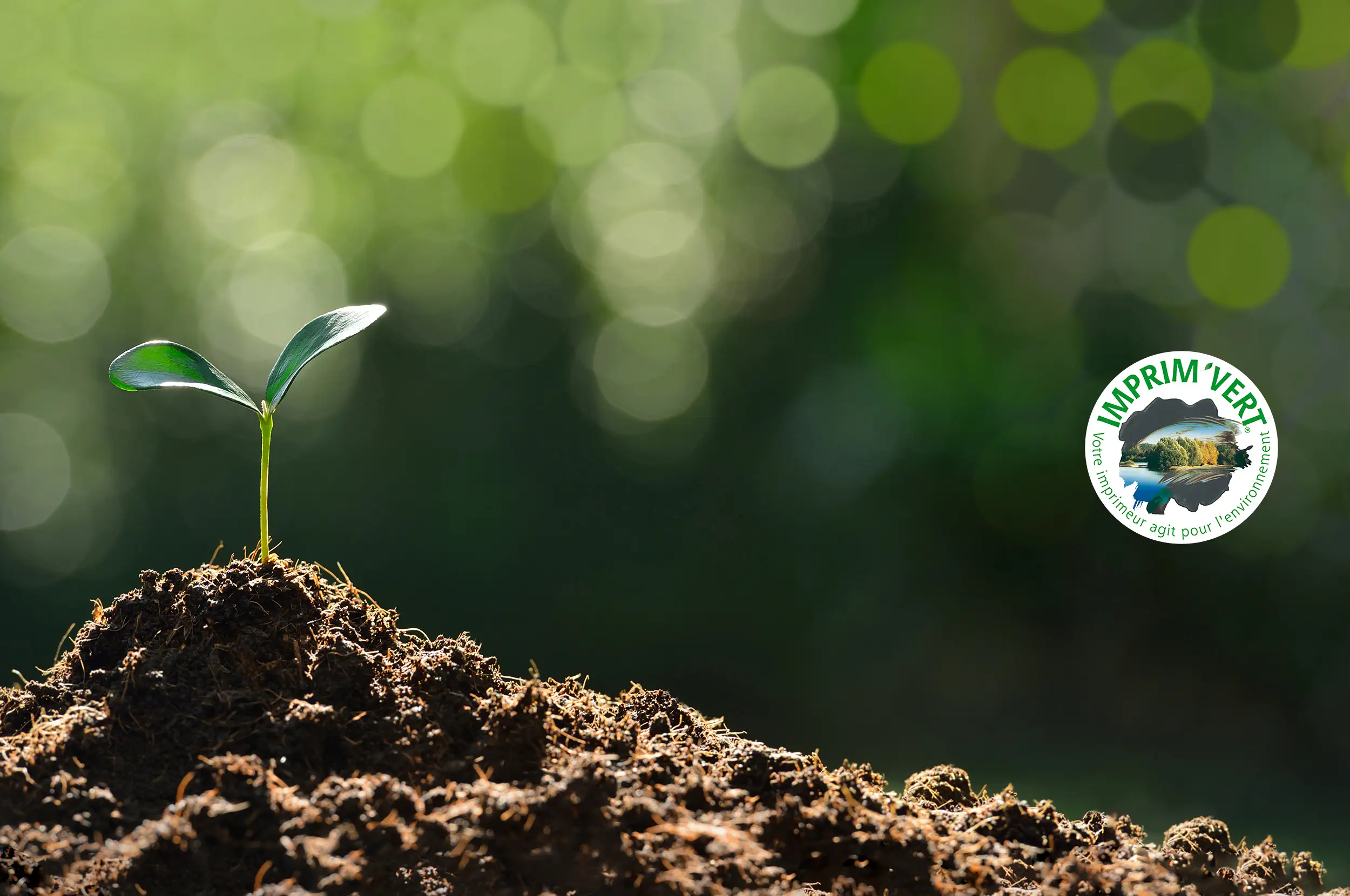 L'éco-responsabilité