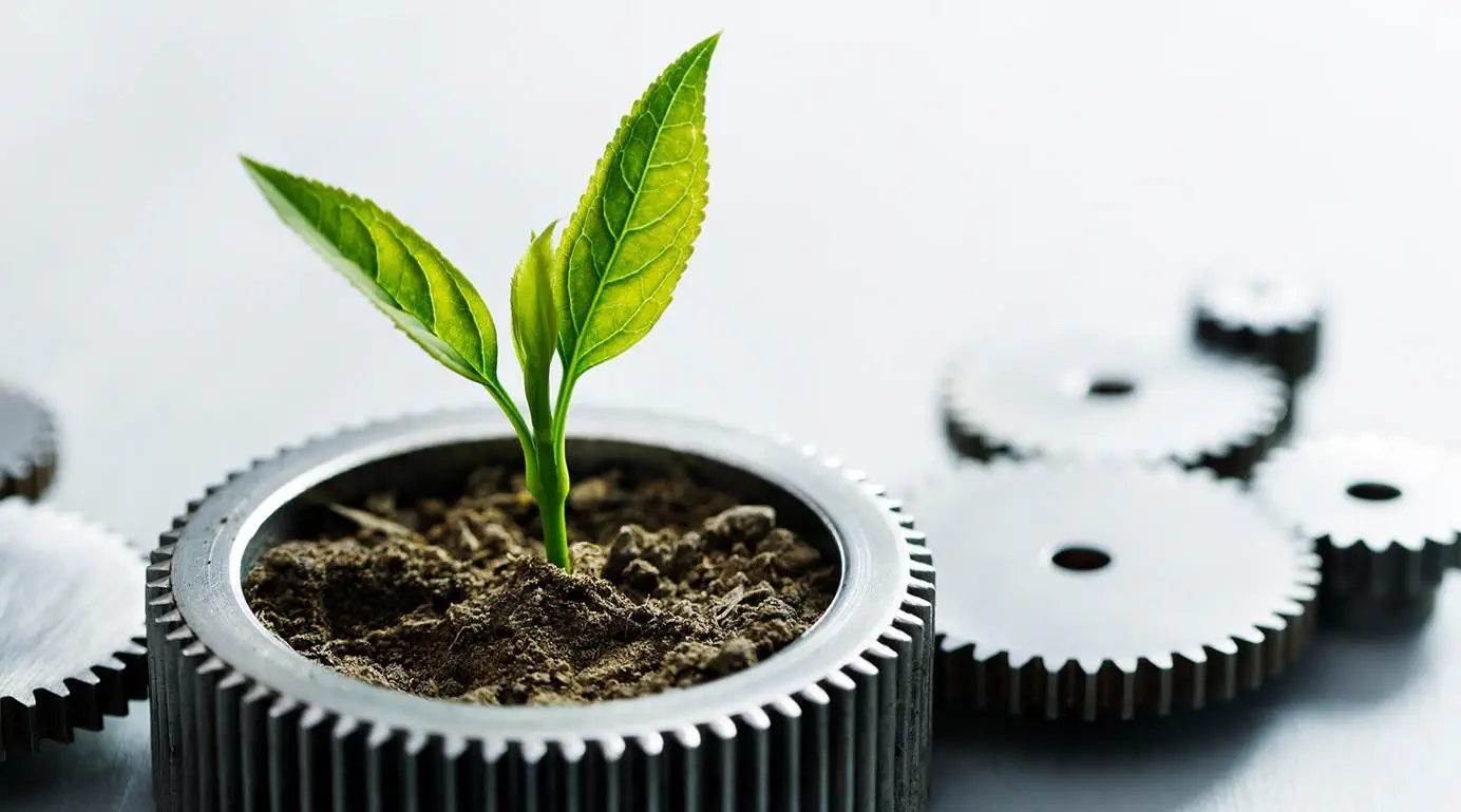 Article Mesures internes