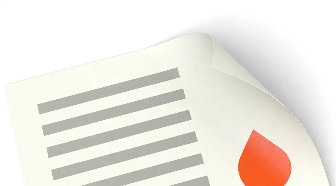 Article avec papier naturel