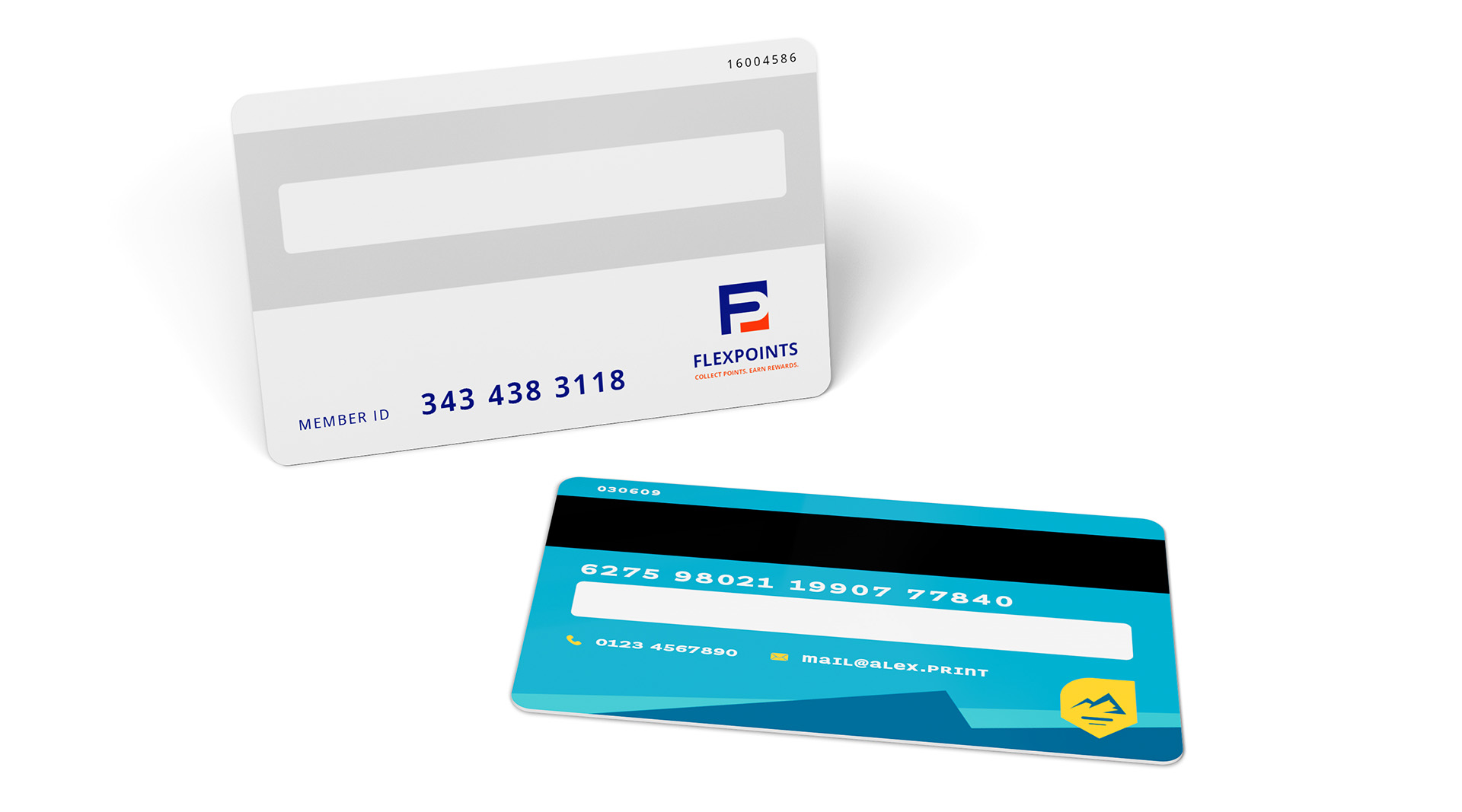 Cartes en plastique avec champ de signature