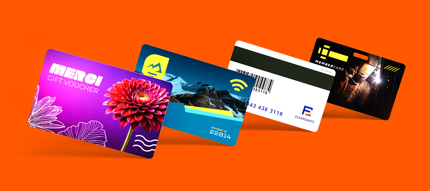 Nouveauté : cartes en plastique