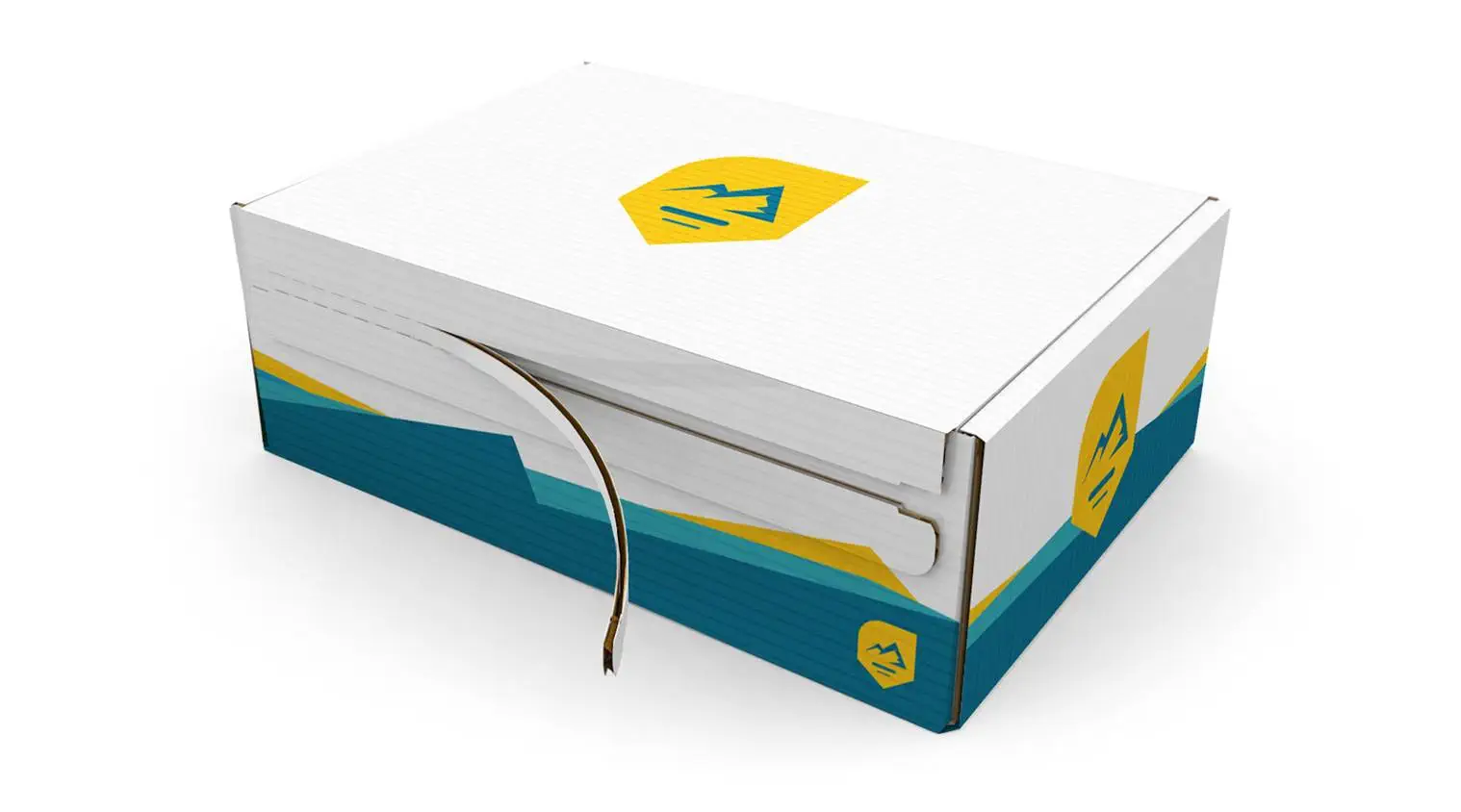 Fermeture adhésive et bande d'arrachage