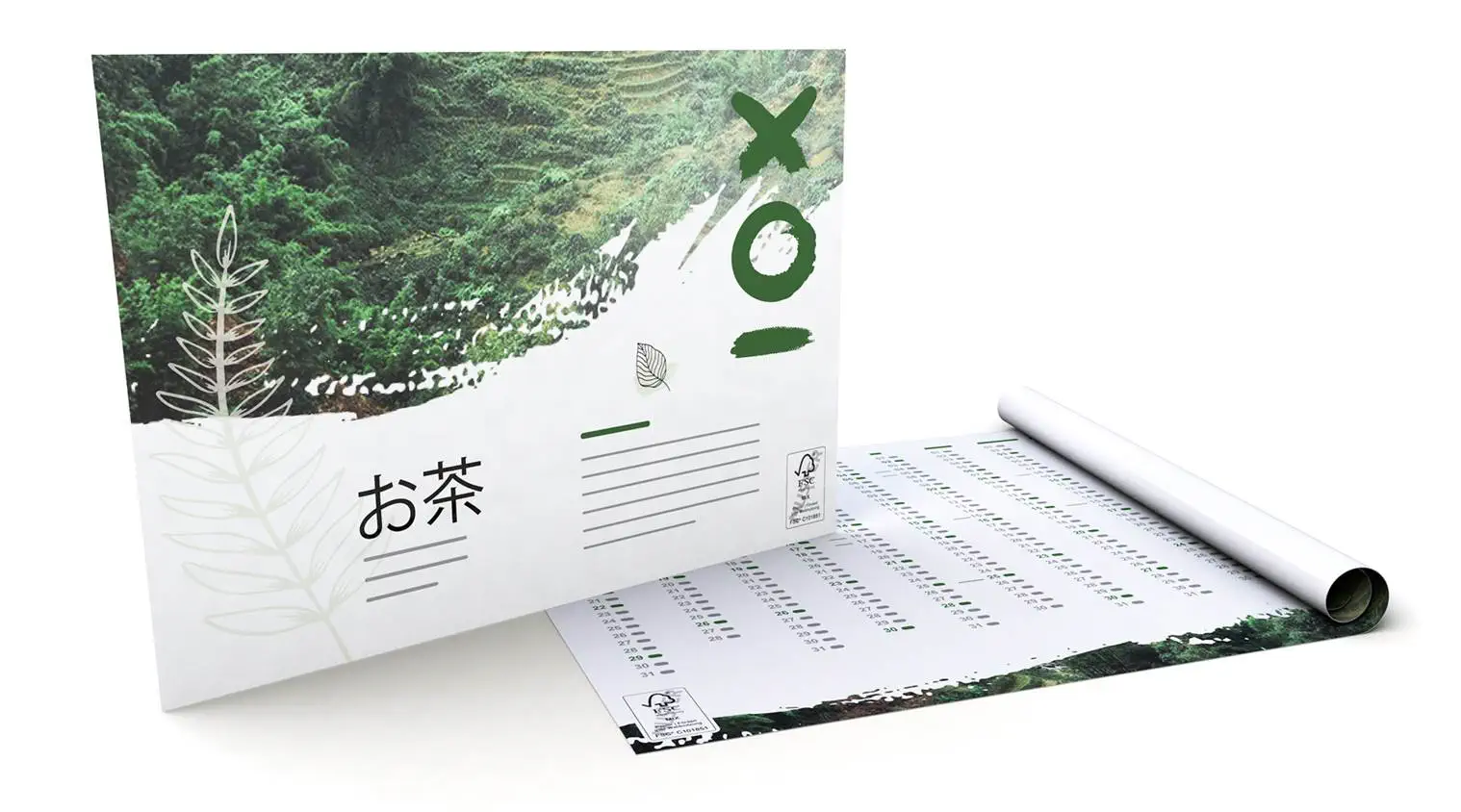 Taille du label 31 x 49 mm