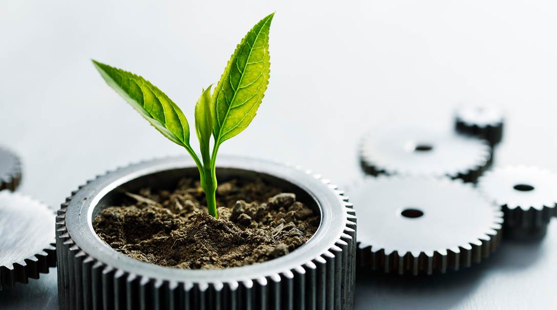 Article Protection de l'environnement en interne
