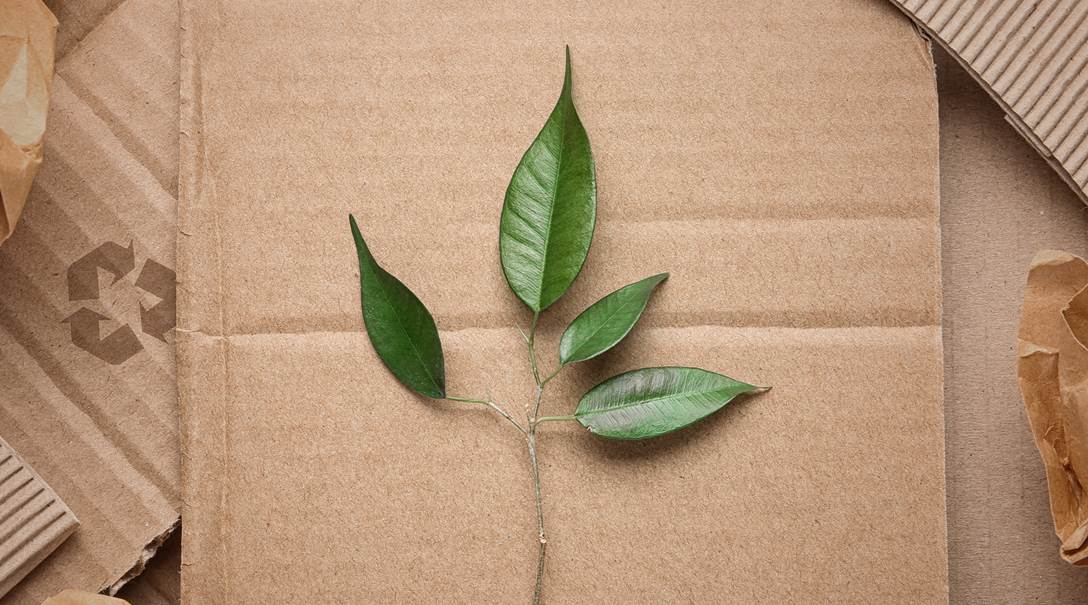Aperçu de nos mesures environnementales Article Aperçu de nos mesures environnementales