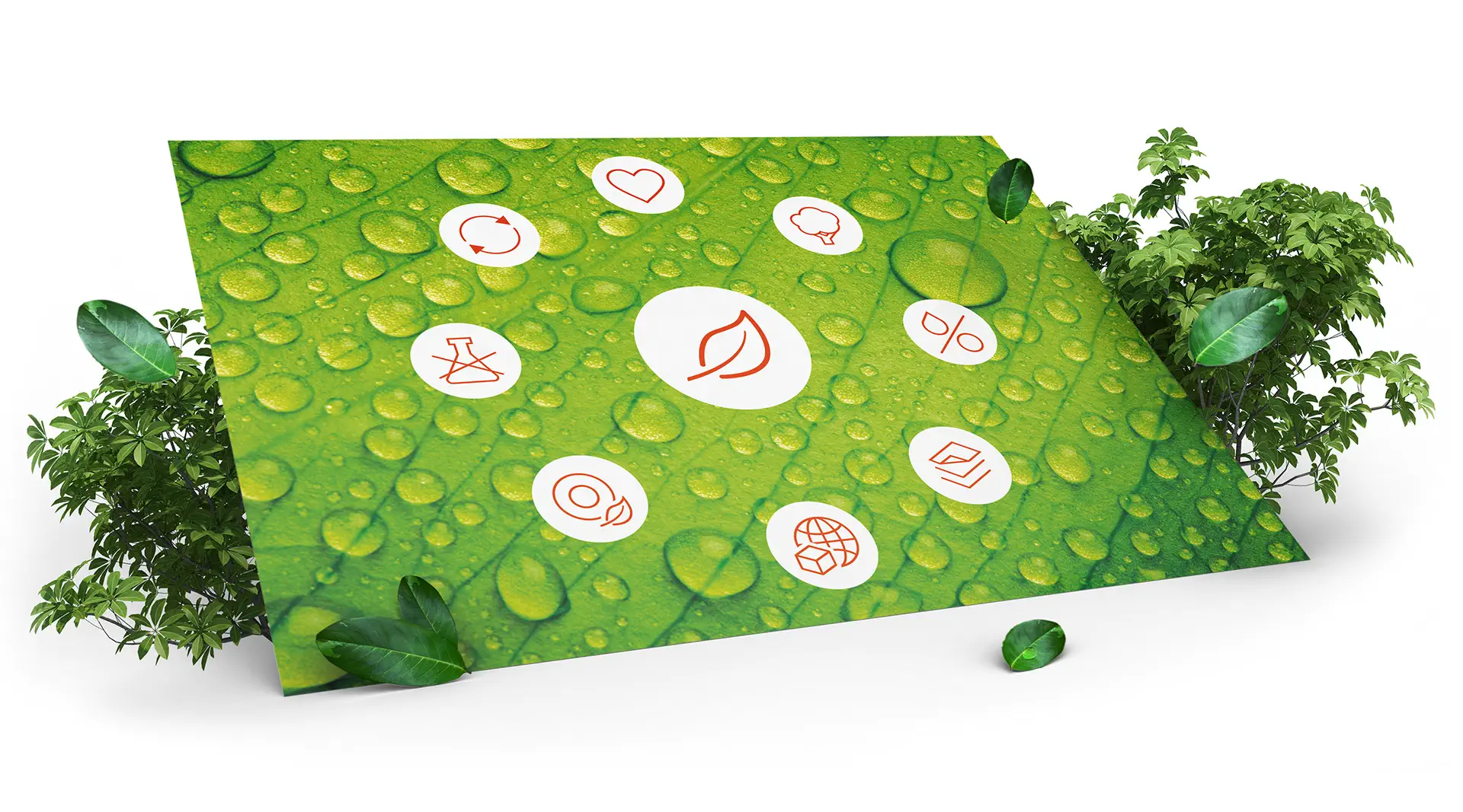 umwelt_uebersicht_weiss