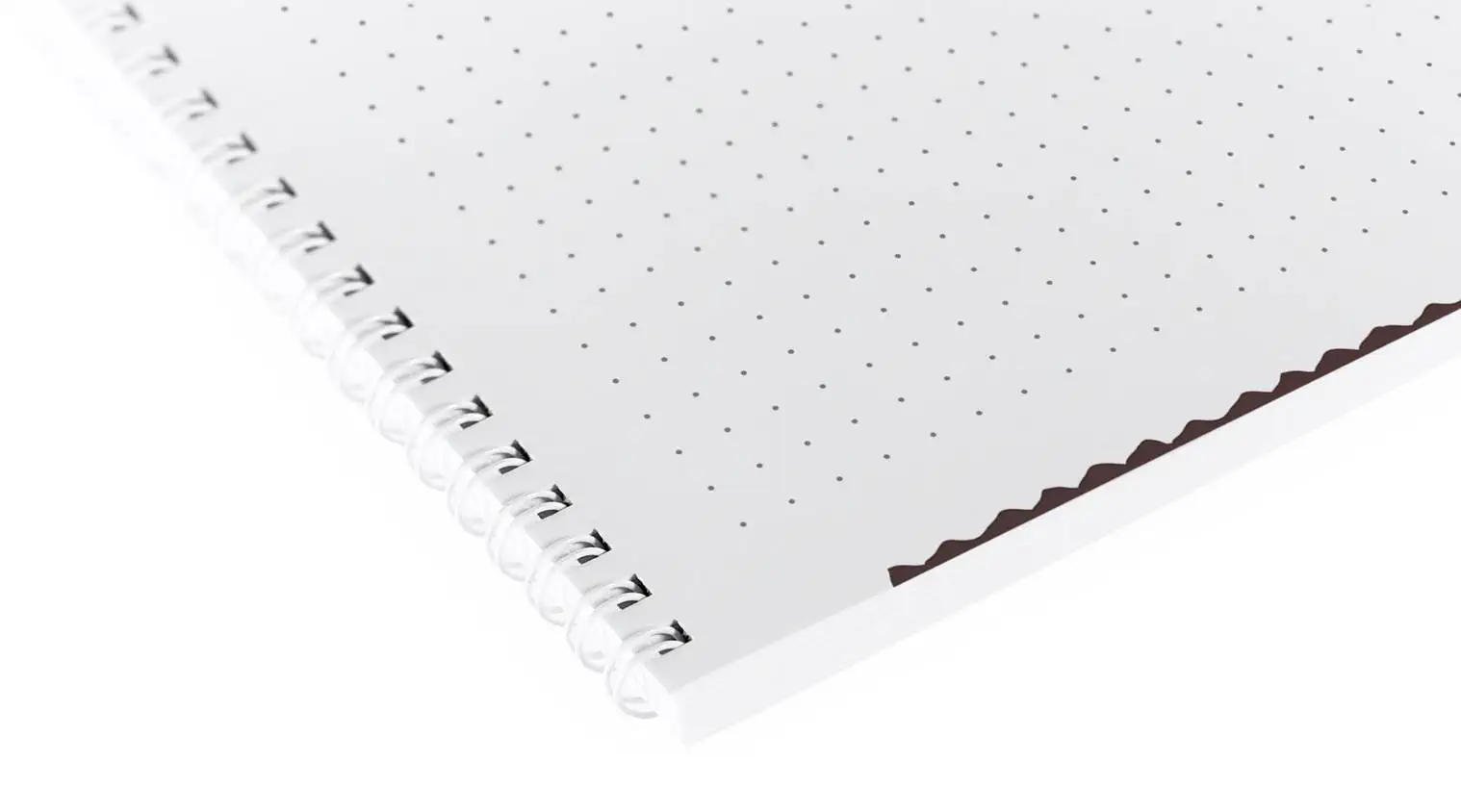 Blocs-notes à reliure à anneaux